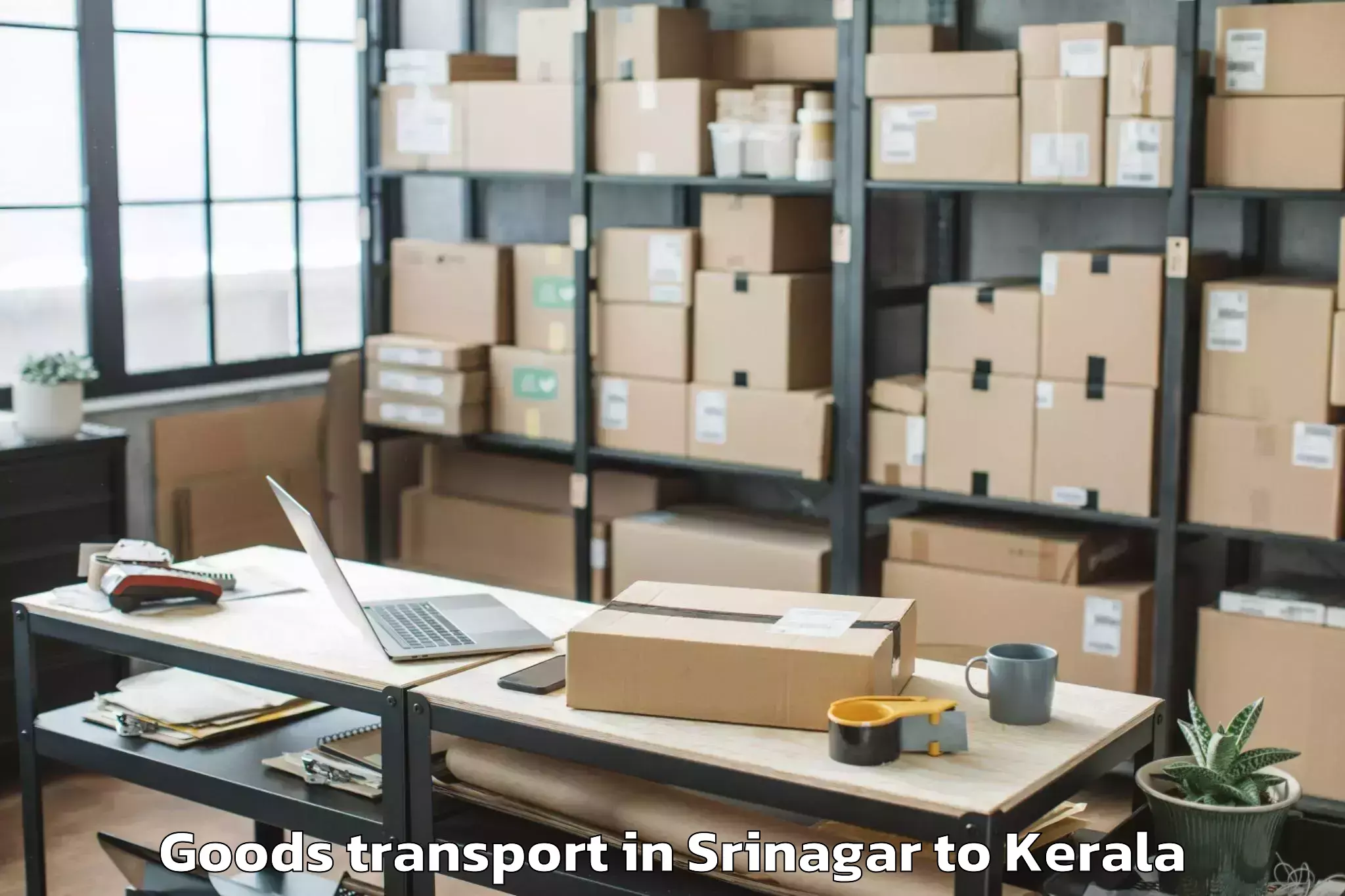 Affordable Srinagar to Pathanapuram Goods Transport